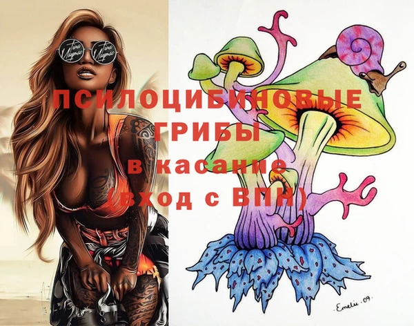 бошки Арсеньев