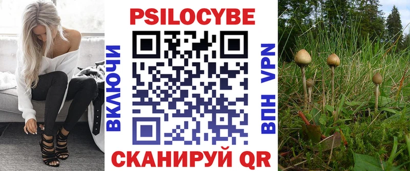 Галлюциногенные грибы мицелий  Цимлянск 